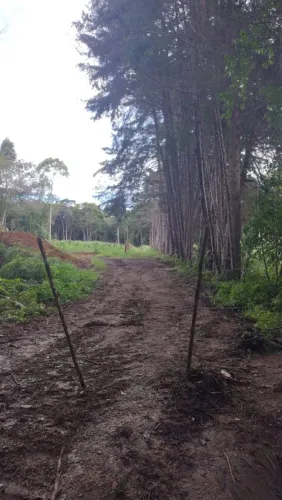 Terreno em Caeté