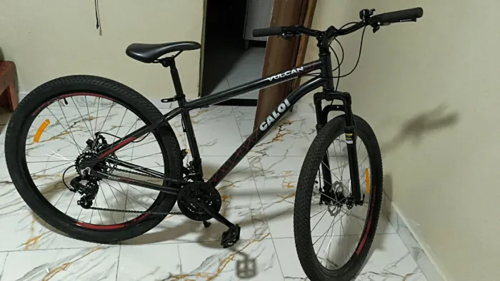 Vulcan  caloi aro 29