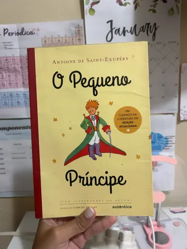 O Pequeno Príncipe 