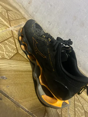 Mizuno wave prophecy