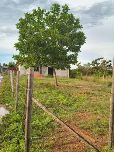Terreno medindo 10 por 50 com uma casa