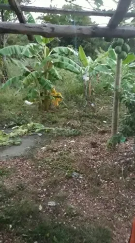 Terreno na BR prox Trevo Tijucal