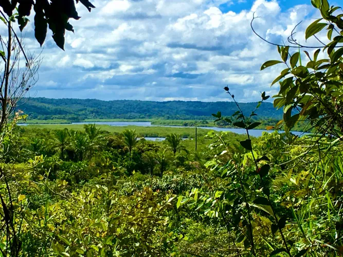 Sítio em Maraú às margens da Baía de Camamú