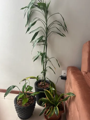 PLANTAS NATURAIS COM VASOS