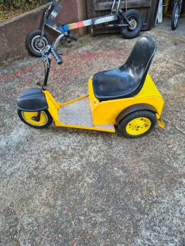 triciclo elétrico para pessoas especiais
