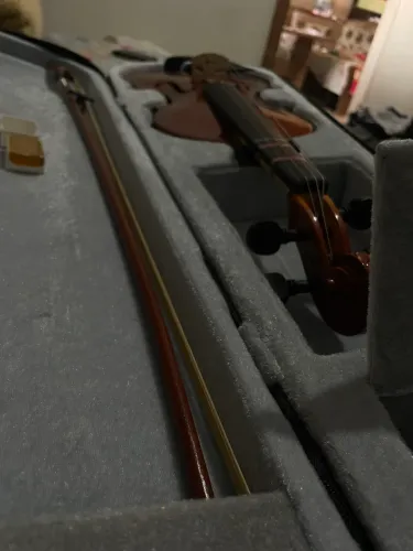 Violino