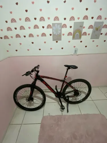BICICLETA ARO 29