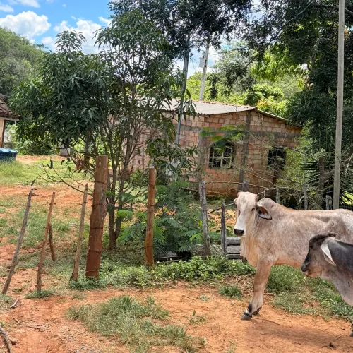 Vendo sítio cachoeira de miralta 13,9 hequitares