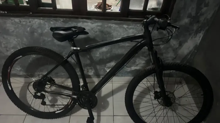 Bike aero 29