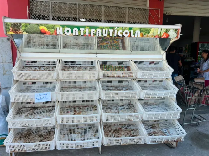 Vende-se Hortifrutícola
