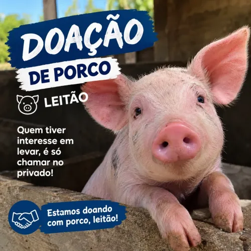DOAÇÃO URGENTE