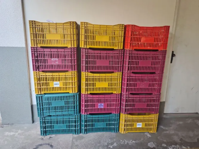 <br>15 Caixas Plásticas Vazadas Empilháveis - Lote R$ 450
