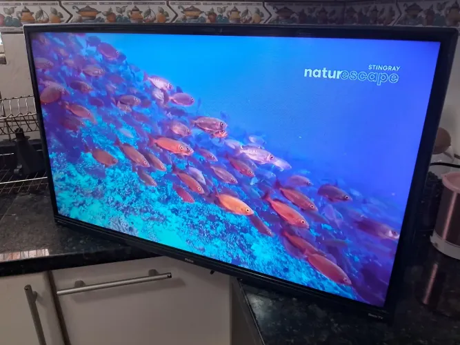 SMARTV 32 PHILCO ROKU ENTREGA INCLUÍDA 