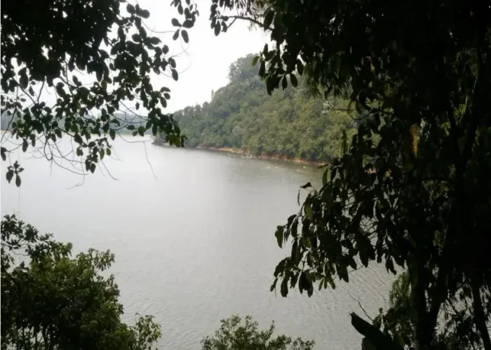 Chácara para venda tem 56mil m² 2 800m de beira de represa com 4 quartos
