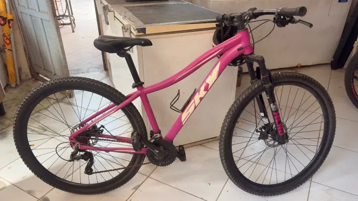 Bicicleta