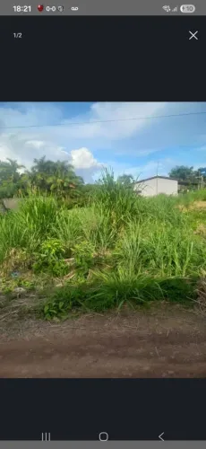 Terreno