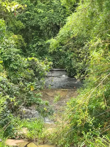 Fazendinha 10 hectares em Itaguara