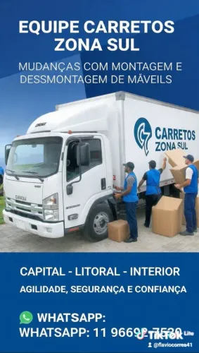 Carretos Zona Sul.