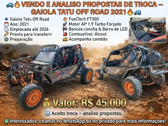 carro estilo gaiola cross