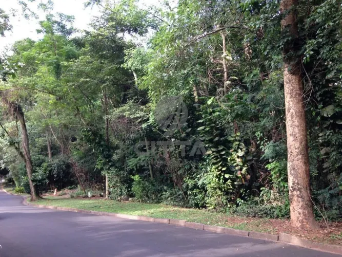 terreno - Parque São Quirino - Campinas