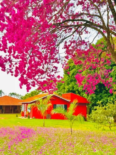 Linda chácara em Tamboara Paraná