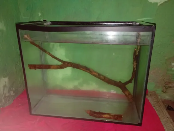AQUARIO DE 50L ?