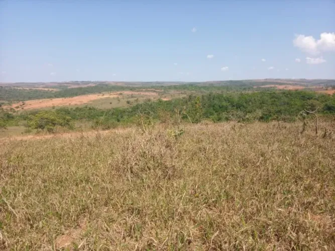 Busco parceria na produção agropecuária