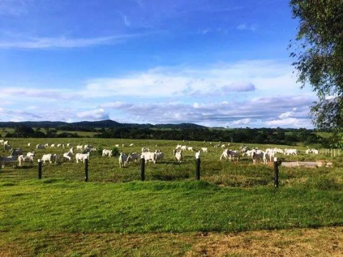 640 alqueires próximo 500 alqueires de pasto prontos 70 mil o alqueire