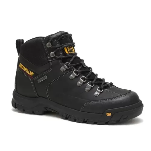 Bota cat