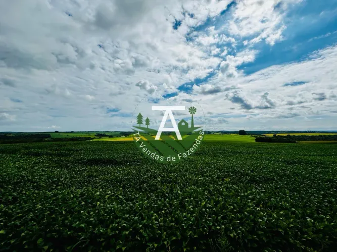 Fazenda de 212 alq em Ipameri-GO