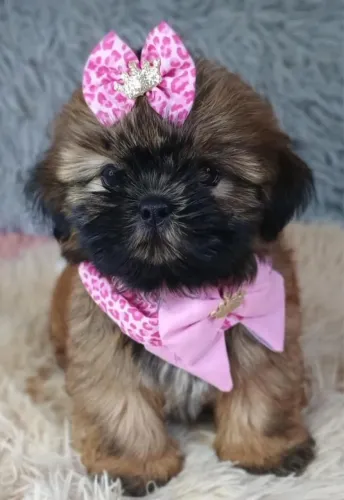 Princesinha 
