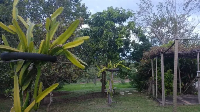 Terreno na comunidade de Cachoerinha 2.750m2. Cozinha, varanda, ducha, pomar