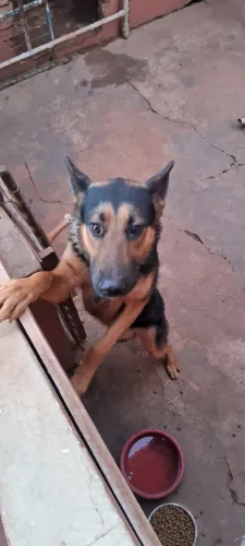 Doação