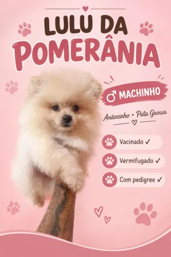 Menino promocional