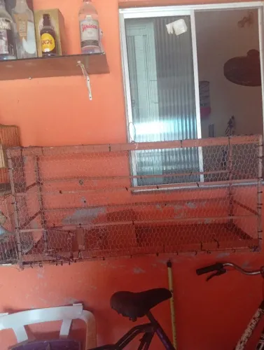 Voador com tela malha pequena