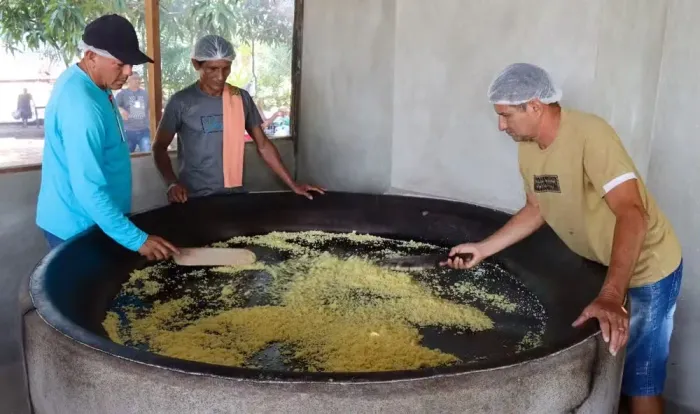 Vaga para farinheiro produtor de farinha