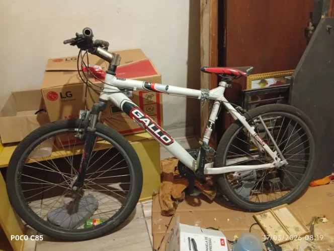 Bicicleta Gallo