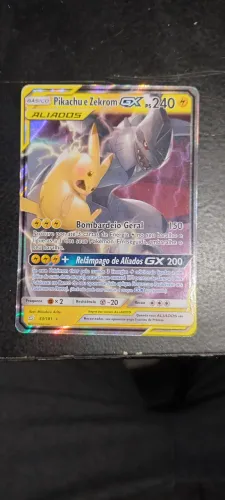 Pikachu e zekrom 33/181