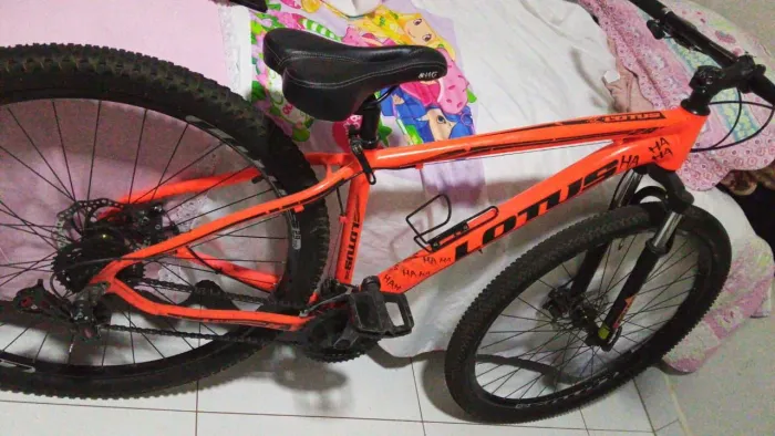 Vendo bicicleta Lotus, Aro 29
