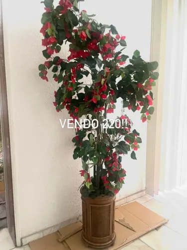 Vaso com planta