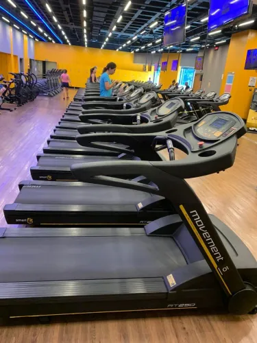 Esteiras top da Movement RT 250 Black,revisadas seminovas,com lona Deck tudo novo.