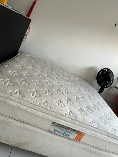 Cama