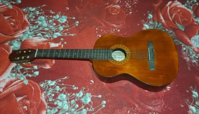 Violão Michael VM 30