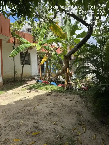Casa para vender e alugar, TAMARINEIRA, Recife, PE