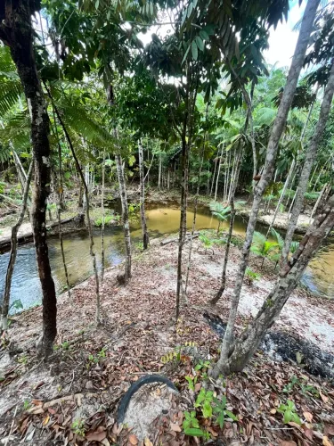 Terreno a venda em morros localizado no Mato Grosso