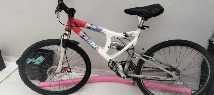 Bicicleta adulto
