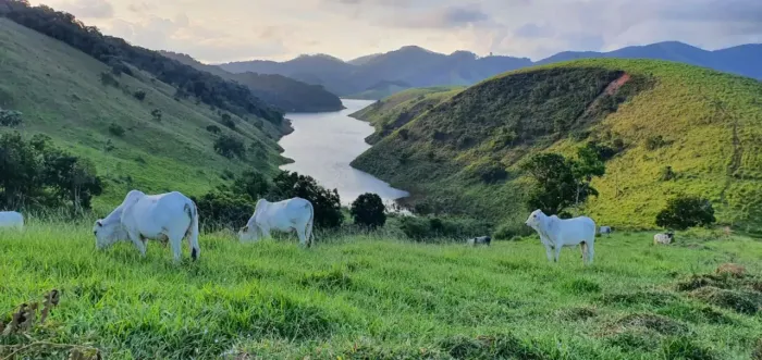 FAZENDA COM MARGENS PARA A REPRESA EM NATIVIDADE DA SERRA-SP