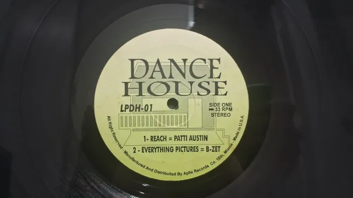 Lote de  discos de vinil Eurodance. 