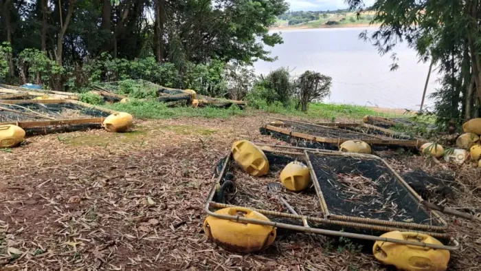 Tanques para criação de tilápias
