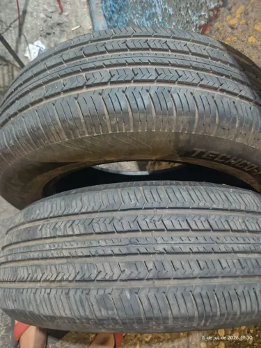 Pineus Semenovo aro15